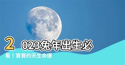 2023兔年出生|2023兔年，不同月份出生的寶寶有哪些特征？